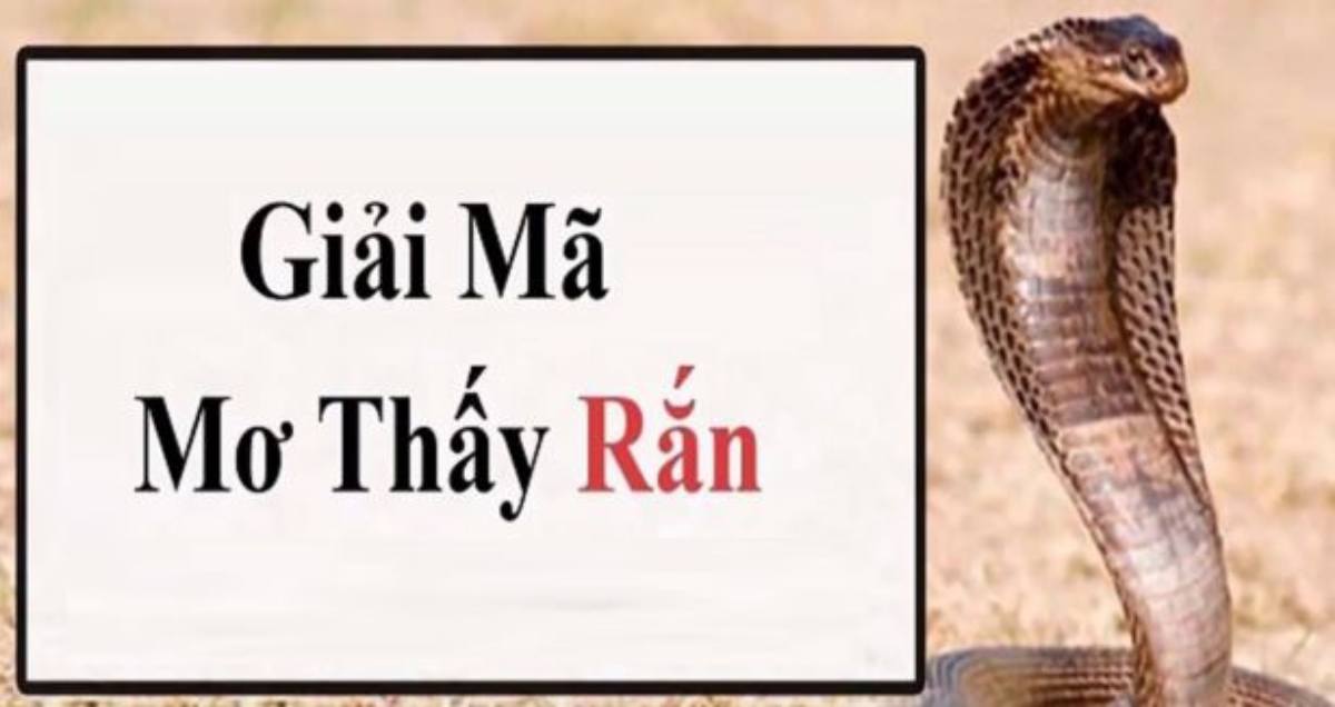 mơ thấy rắn đánh con gì