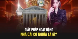 giay-phep-hoat-dong-tp88