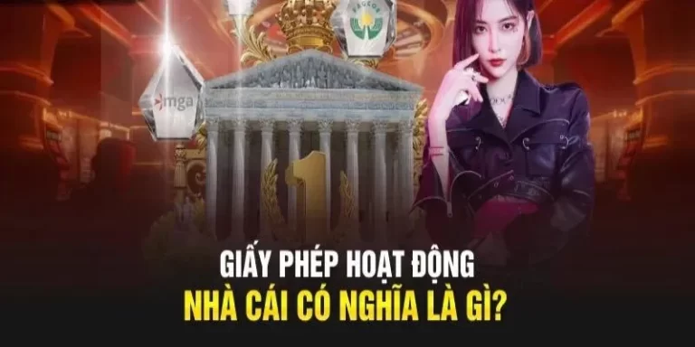 giay-phep-hoat-dong-tp88