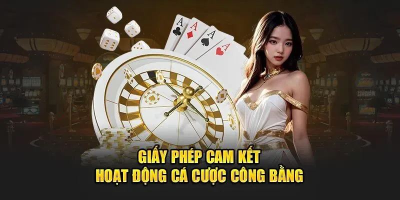 giay-phep-hoat-dong-tp88