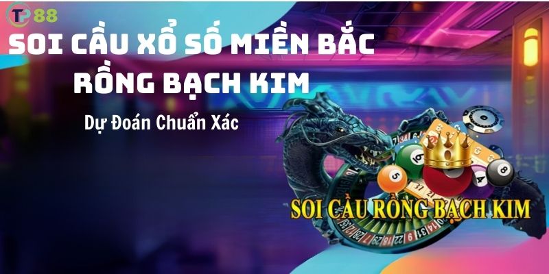 Soi-Cau-Xo-So-Mien-Bac-Rong-Bach-Kim-Du-Doan-Chuan-Xac-Tai-TP88